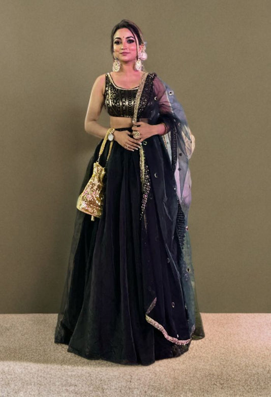 Organza Lehnga